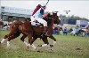 UKPA  NC Sat_1566